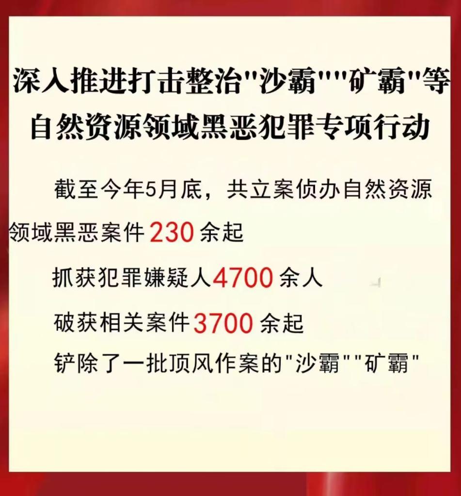 公安機關打擊整治“沙霸”“礦霸”破案3700余起