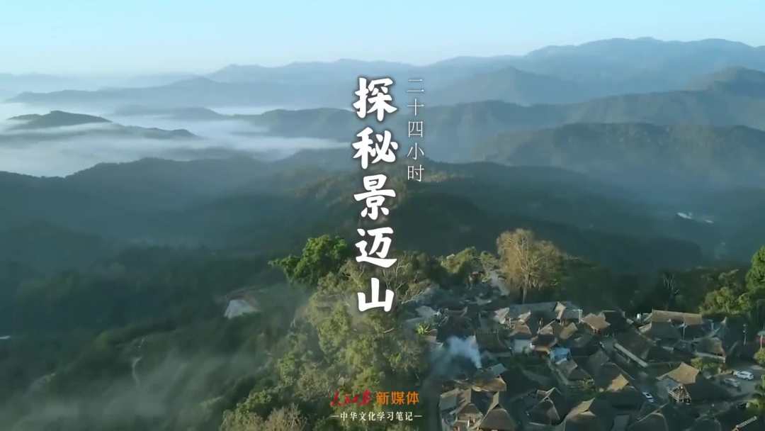 景邁山是個什么山？航拍云南普洱森林里的世界遺產(chǎn)