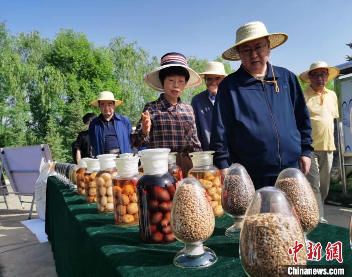 青海：利用冷涼氣候，打造高原綠色種業(yè)輸出地