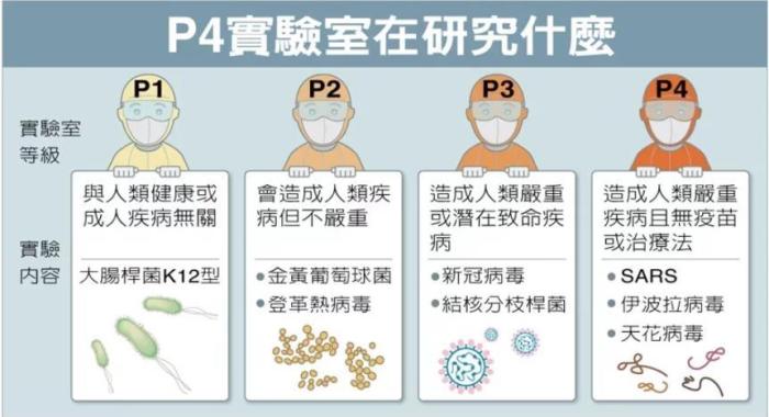 P4實(shí)驗(yàn)室在研究什么。臺(tái)灣聯(lián)合新聞網(wǎng)資料圖