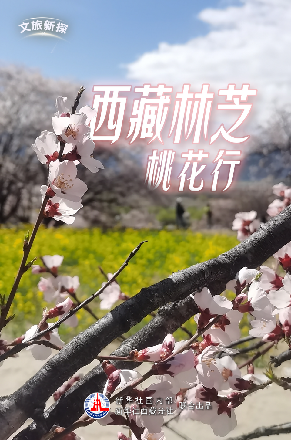 文旅新探｜西藏林芝桃花行