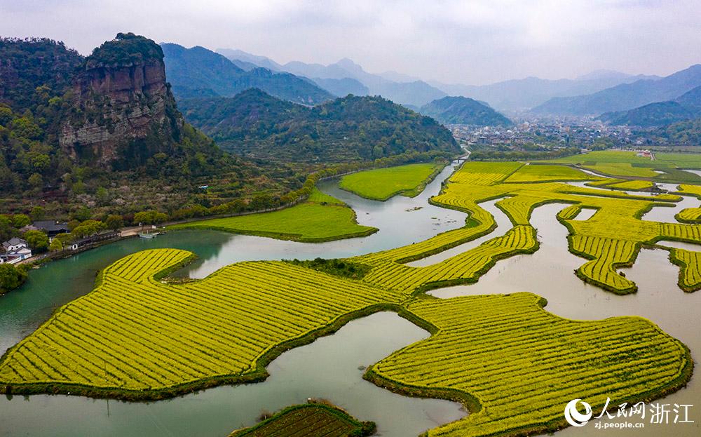 3月28日，航拍浙江省臨海市桃渚鎮(zhèn)桃江十三渚盛開的油菜花景色。人民網(wǎng) 章勇濤攝