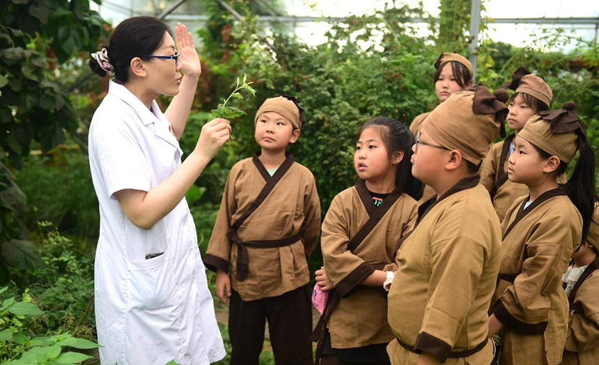 參加活動(dòng)的孩子聆聽(tīng)滄州市人民醫(yī)院國(guó)醫(yī)館中醫(yī)對(duì)中藥材的講解。 傅新春攝