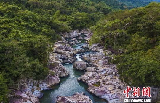 2018年海南生態(tài)環(huán)境狀況等級(jí)為“優(yōu)”，植被覆蓋率高，生物多樣性豐富，生態(tài)系統(tǒng)穩(wěn)定，圖為海南中部熱帶雨林?！●樤骑w　攝