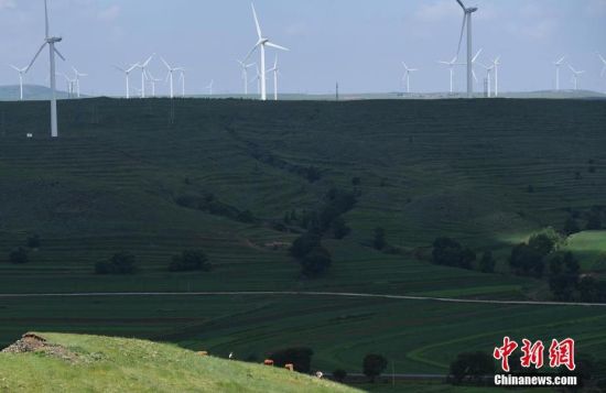 6月28日，河北張家口張北草原上大片風(fēng)力發(fā)電的“風(fēng)車”規(guī)模宏大。 中新社記者 楊艷敏 攝