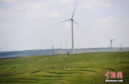 6月28日，河北張家口張北草原上大片風(fēng)力發(fā)電的“風(fēng)車”規(guī)模宏大。 中新社記者 楊艷敏 攝