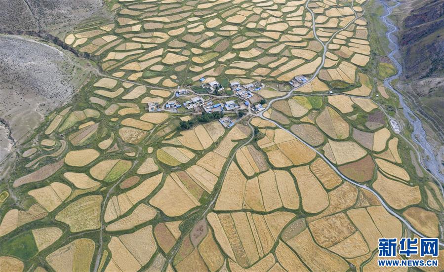 （美麗中國）（1）拉薩河谷：大地流金迎豐收