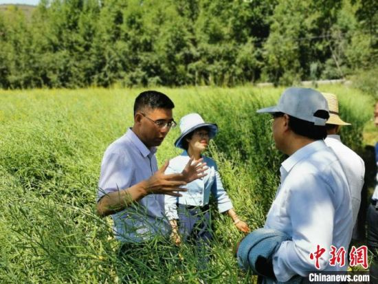 圖為九三學社青海省委主委杜德志(左一)在基層調研。受訪者供圖