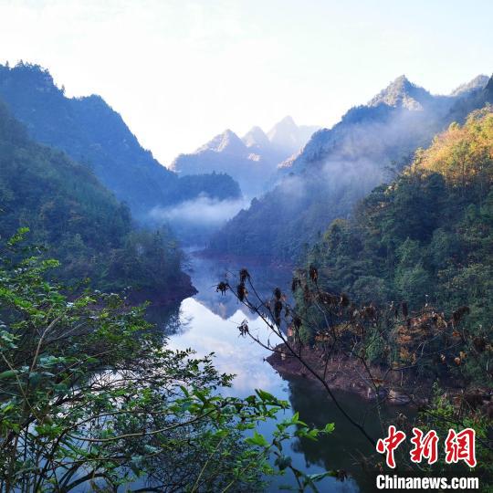 黃荊老林自然保護(hù)中心成立探索生態(tài)保護(hù)與社區(qū)經(jīng)濟(jì)發(fā)展平衡