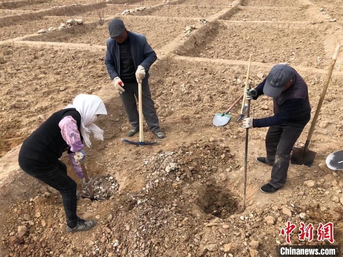 資料圖為建行青海省分行綠化區(qū)施工隊(duì)隊(duì)員處理亂石。　建行青海省分行供圖