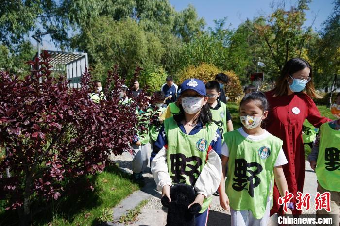 圖為小朋友在青海西寧湟水國家濕地公園內(nèi)認(rèn)識(shí)植物。　馬銘言 攝