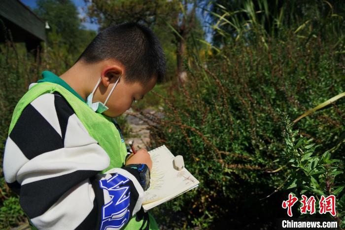 圖為小朋友在青海西寧湟水國家濕地公園內(nèi)認(rèn)識(shí)植物并進(jìn)行繪畫。　馬銘言 攝