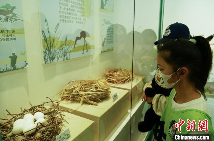 圖為小朋友在青海西寧湟水國家濕地公園科普館內(nèi)參觀學(xué)習(xí)?！●R銘言 攝