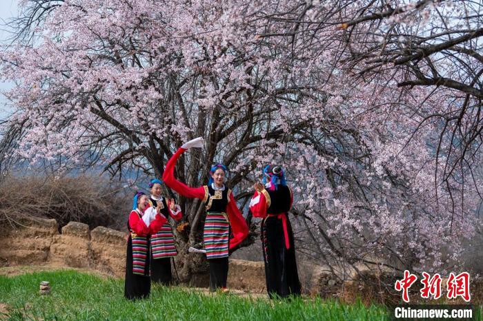 桃花樹(shù)下開(kāi)心玩耍的女孩們?！⒅铱?攝