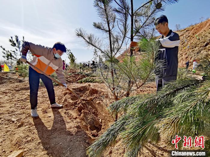 圖為西寧市城東區(qū)義務(wù)植樹活動(dòng)現(xiàn)場?！?zhí)砀?攝