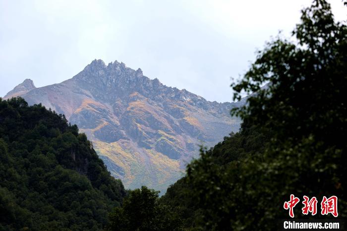 青海互助北山國家森林公園風(fēng)景如畫美不勝收