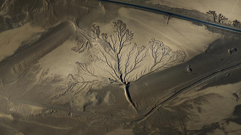 無人機視角下的西藏阿里地區(qū)改則縣“大地之樹”景觀。尼瑪多吉攝