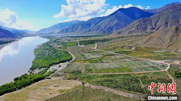 圖為桑日縣葡萄種植基地。　山南桑日縣委宣傳部提供