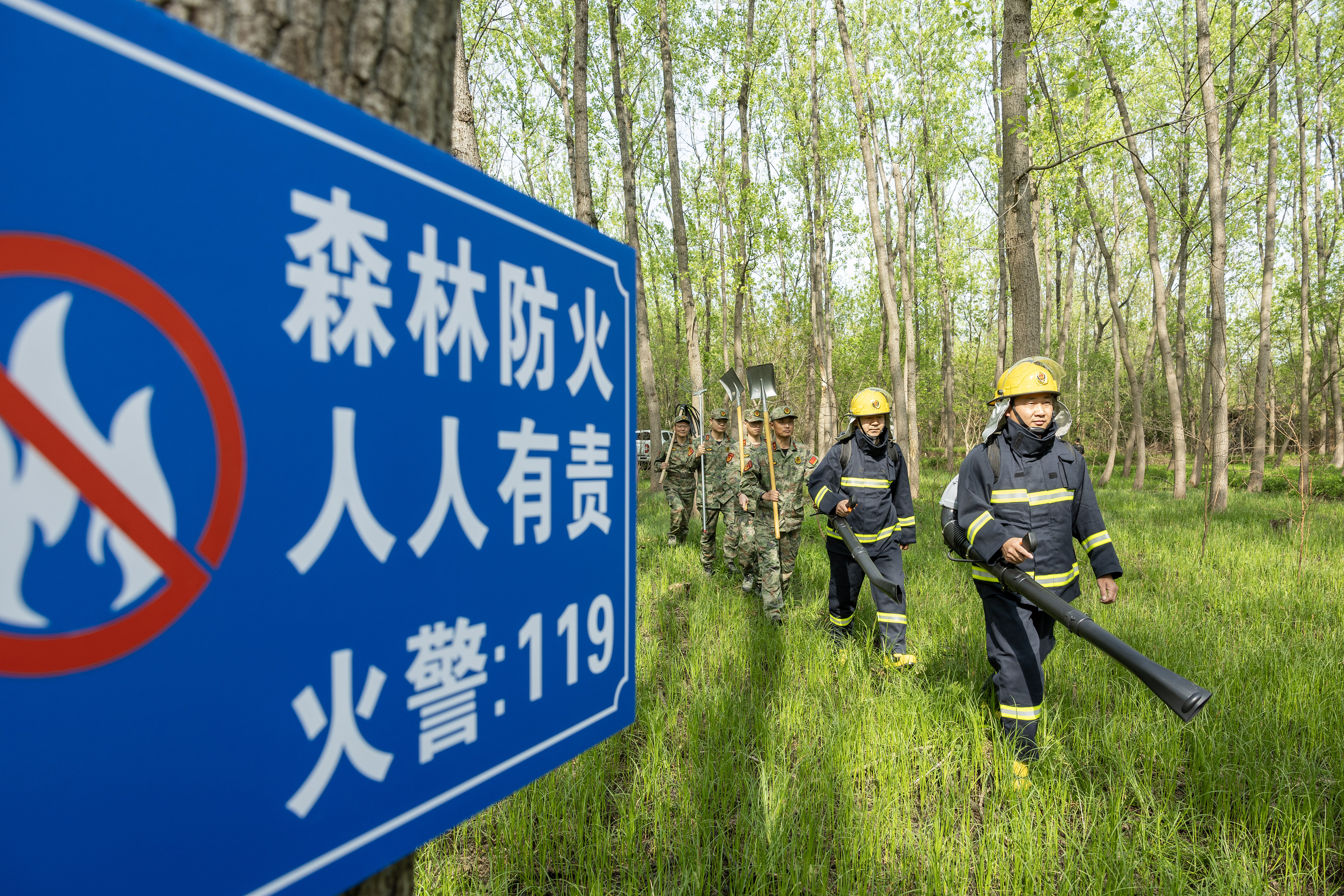 2024年4月9日，合肥市大房郢水庫(kù)水源保護(hù)地廬陽(yáng)經(jīng)濟(jì)開發(fā)區(qū)段，基干民兵正在林間巡查火災(zāi)隱患。