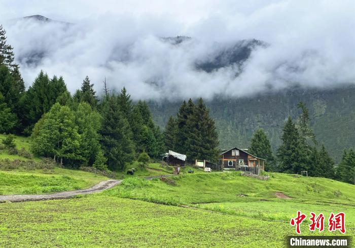 6月10日，魯朗小鎮(zhèn)高山牧場景區(qū)風光?！∪轿木?攝