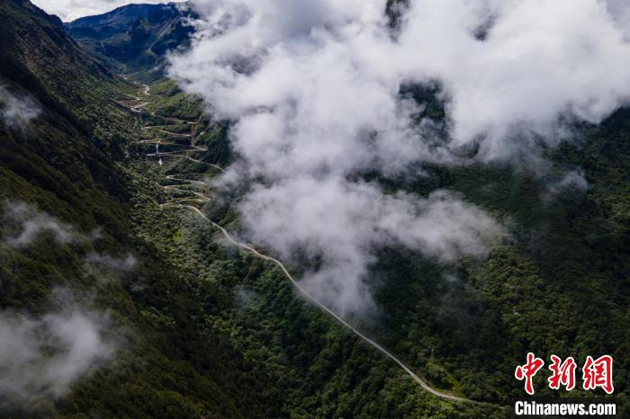 西藏山南勒布溝景區(qū)的盤山公路被云霧環(huán)繞?！〗w波 攝