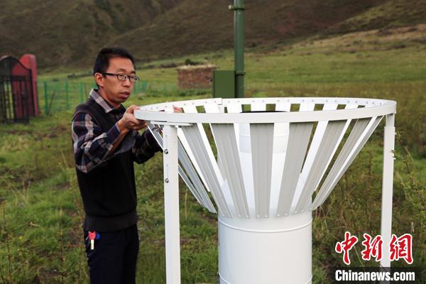 青海氣象服務為高原藏雪茶“鋪就”生態(tài)致富路