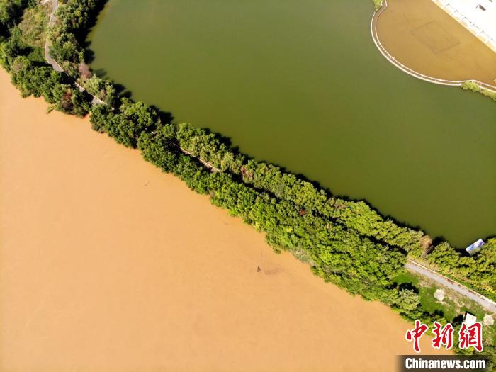 圖為2020年9月3日航拍黃河蘭州段濕地公園現(xiàn)黃河“鴛鴦鍋”。(資料圖) 高瑩 攝