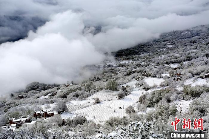 雪后的丹巴半山云霧繚繞?！±钣腊?攝