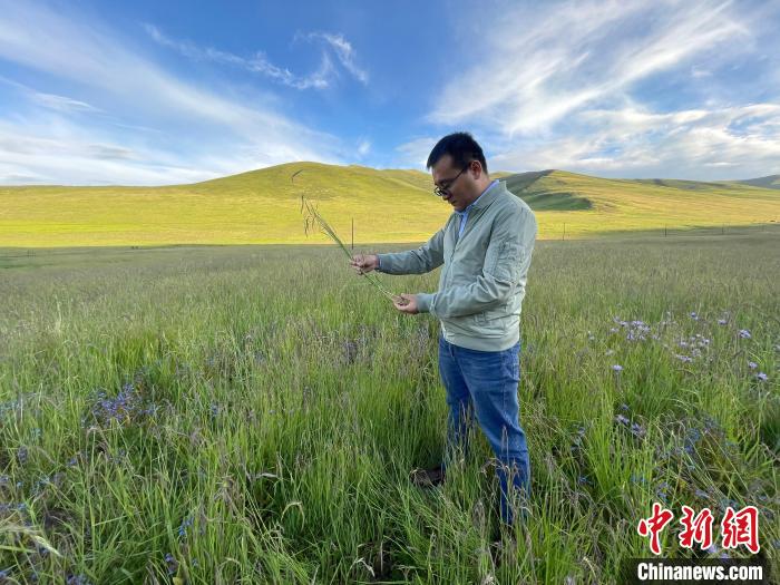 青海達(dá)日“援青縣長(zhǎng)”：雪域高原生態(tài)、民生“并蒂花開(kāi)”