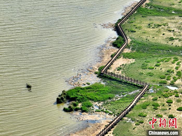 俯瞰柴達(dá)木盆地都蘭湖國(guó)家濕地公園