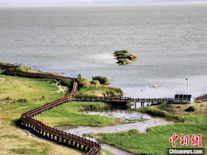 圖為都蘭湖國(guó)家濕地公園觀(guān)光棧道。　祁增蓓 攝