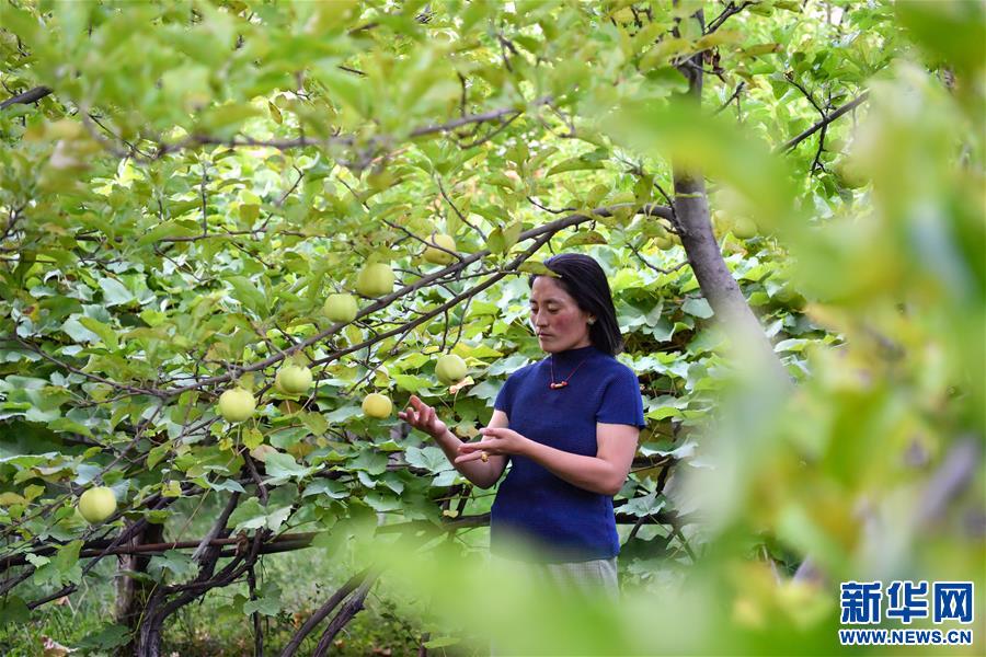 （決戰(zhàn)決勝脫貧攻堅·圖文互動）（2）從賣菜“小保姆”到農(nóng)家樂“老板”——其美拉姆的創(chuàng)業(yè)路