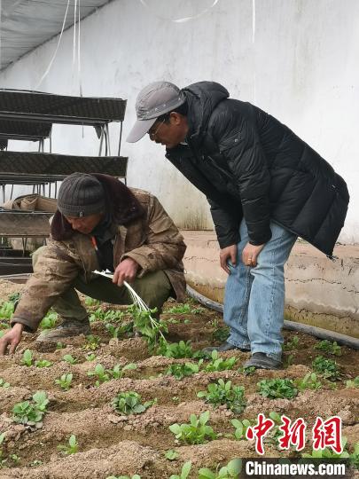 圖為尼瑪扎西(右)與西藏農(nóng)民聊天(資料圖)。西藏農(nóng)科院 供圖