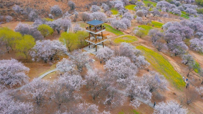 林芝嘎拉村。 張靜攝