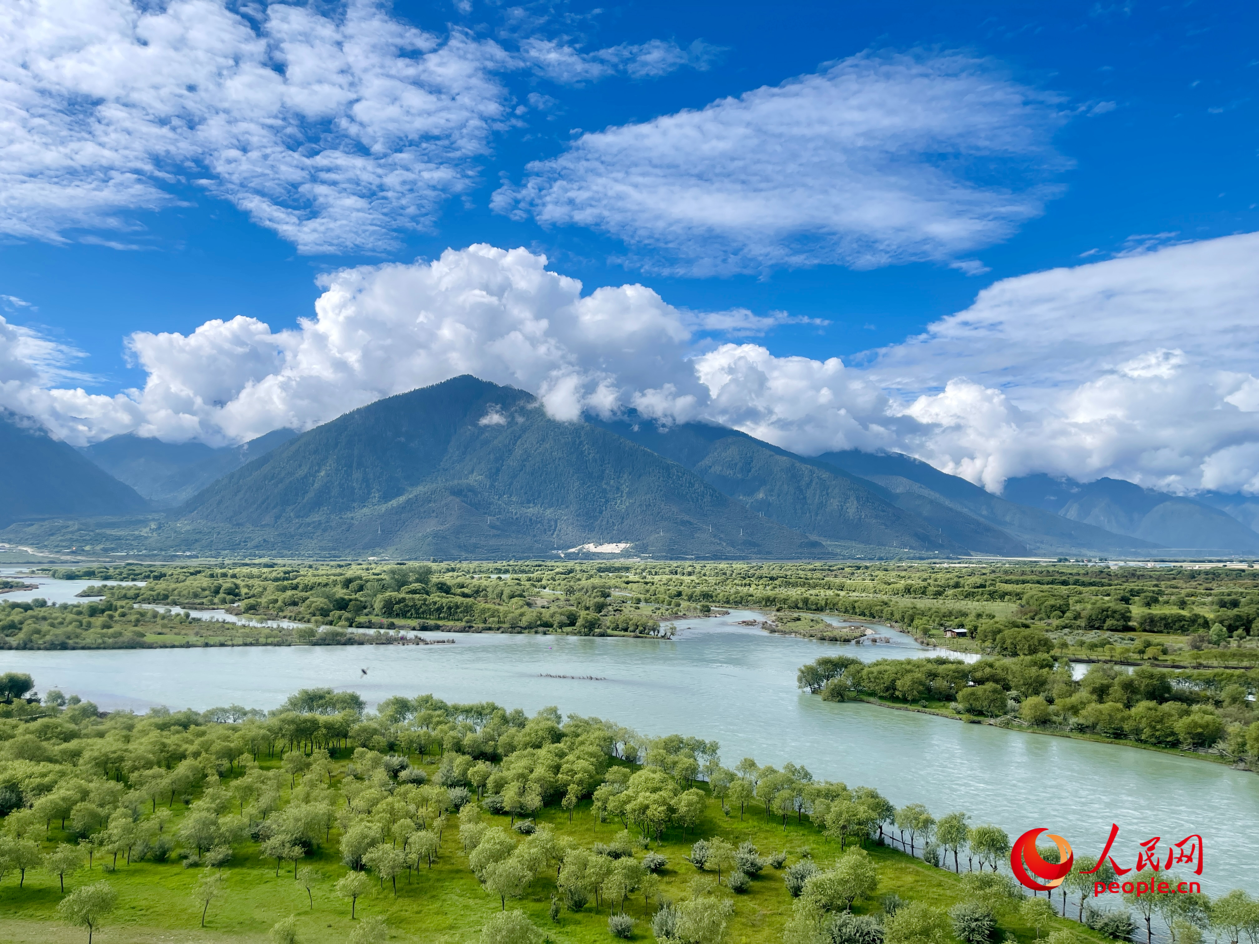 夏日的雅尼國家濕地公園生機(jī)盎然，如詩如畫。人民網(wǎng) 周靜圓攝