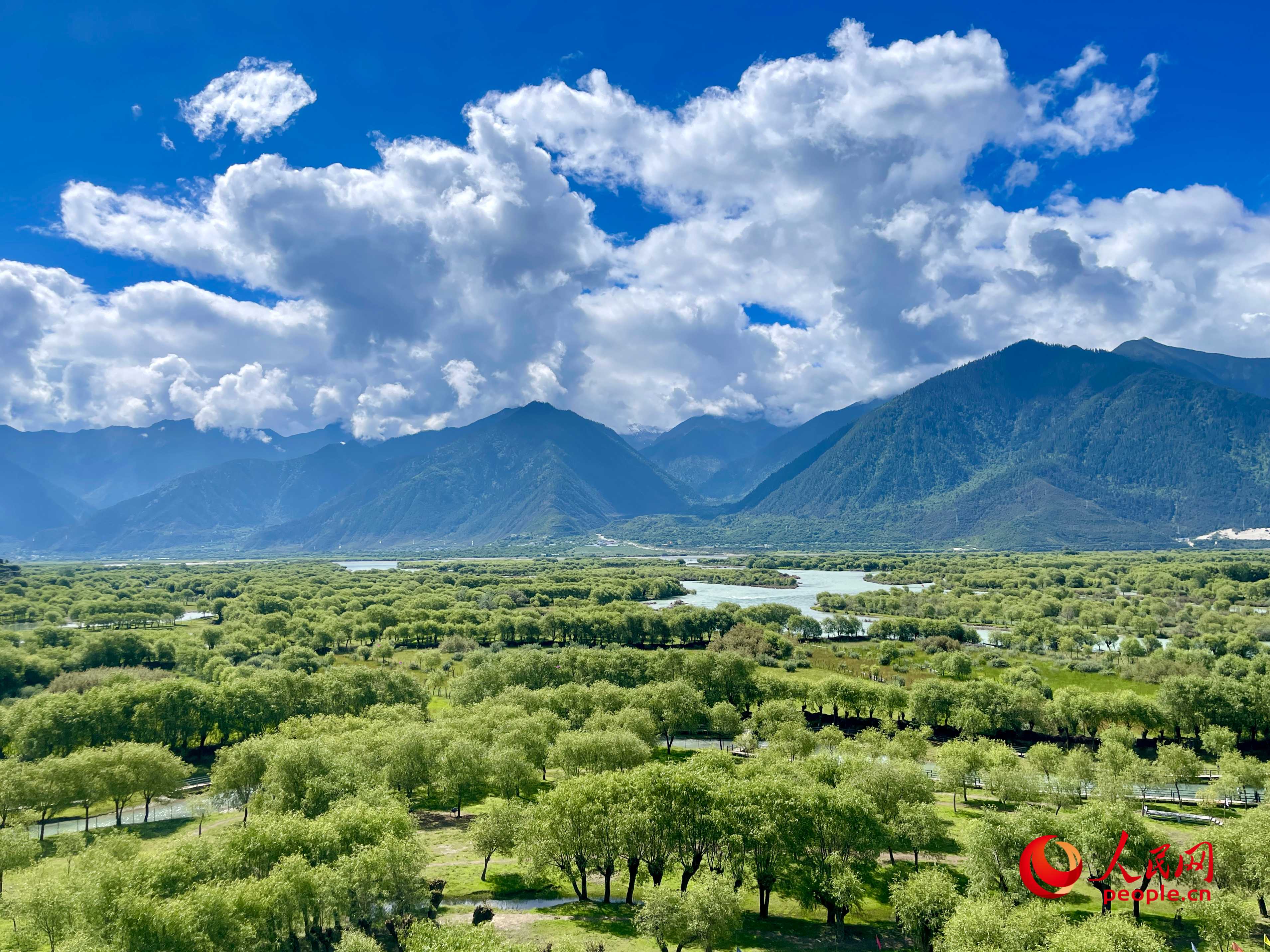 夏日的雅尼國家濕地公園生機(jī)盎然，如詩如畫。人民網(wǎng) 周靜圓攝